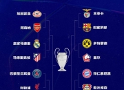 开云平台-奥地利惊险战胜挪威，晋级欧预赛16强的简单介绍