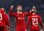 开云下载-利物浦主场小胜曼城，欧冠小组赛积分领跑