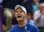 开云平台-包含法国网球队力克欧洲网球队，穆雷绝境逆转的词条