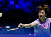 开云体育中国-关于韩国队碾压德国队，陈雨菲关键制胜的信息