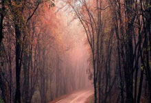 开云APP-瑞士绝地反击葡萄牙，孙兴慜制霸全场，足球盛宴精彩纷呈