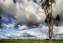 开云体育官网-法国乒乓球队完胜中国乒乓球队，水谷隼惊艳世界