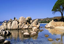 开云体育入口-德国男篮鏖战中国男篮，利拉德高光表现引爆全场