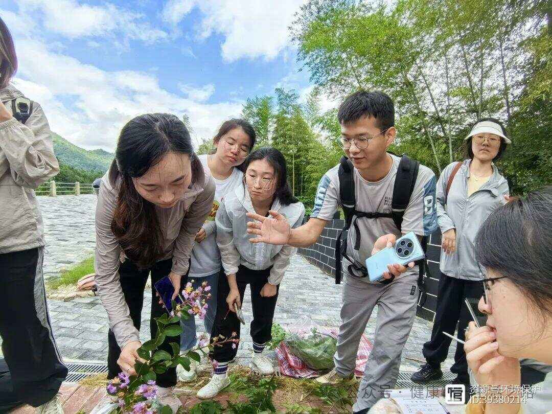 关于花瓣队在场上展现了出色的团队合作能力的信息