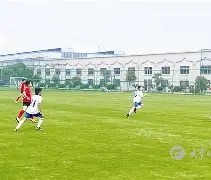 悉尼橘子军取得胜利,晋级足球锦标赛的简单介绍 悉尼橘子军取得胜利,晋级足球锦标赛的简单介绍