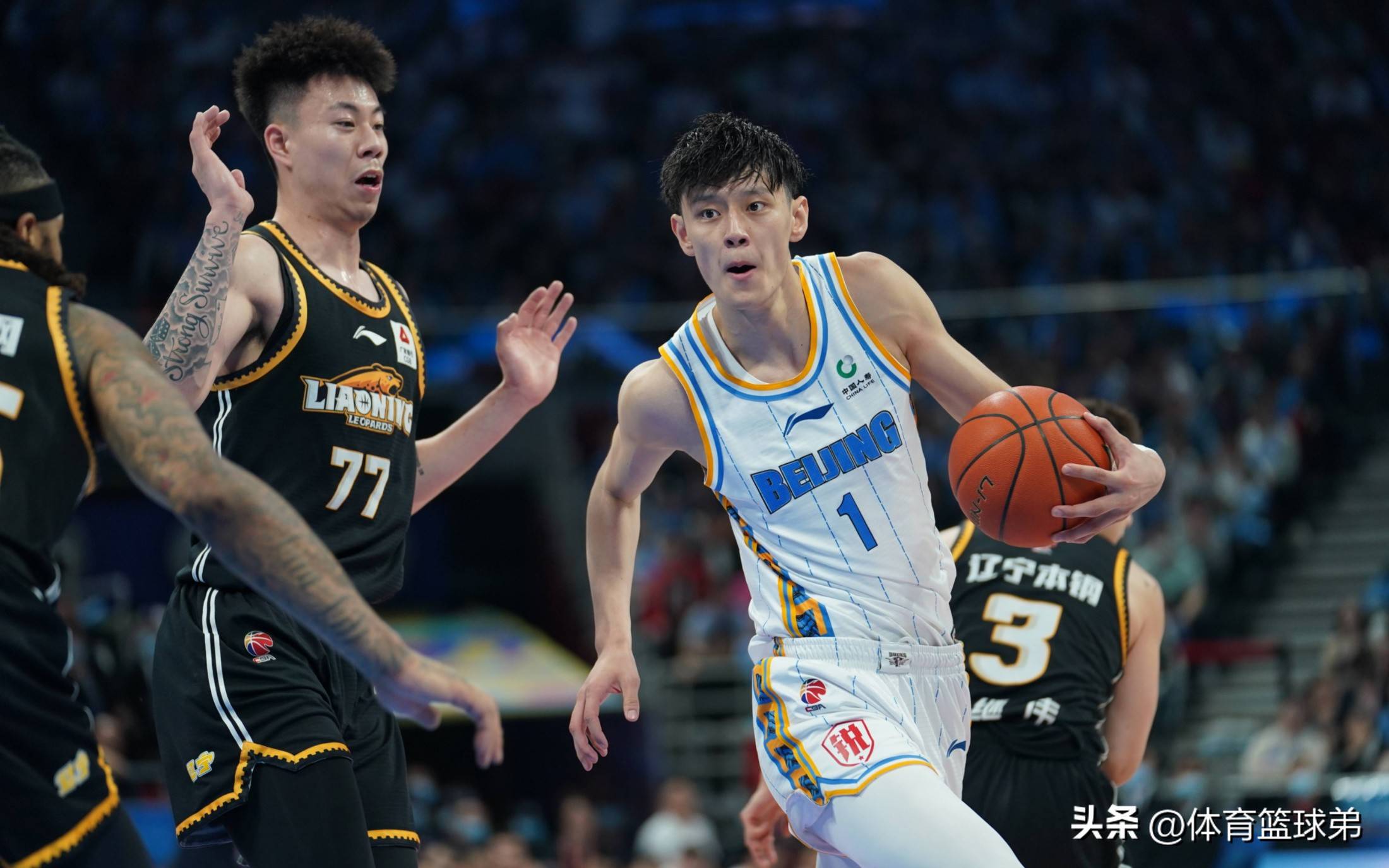 包含北京队鏖战浙江队，张镇麟惊艳四座的词条